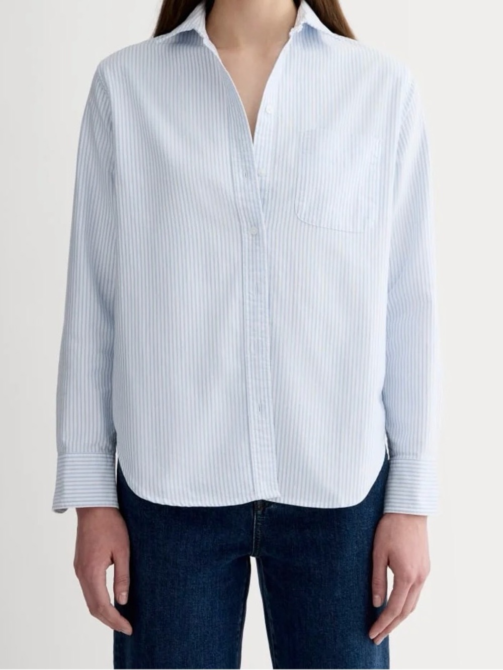 Everlane The Must-Have Oxford Shirt — White & Blue — Size 6